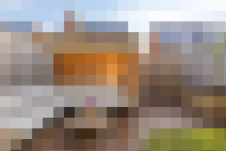 Cellostraat 87 Eindhoven thumbnail 34