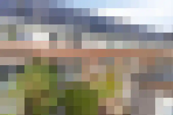 Cellostraat 87 Eindhoven thumbnail 35