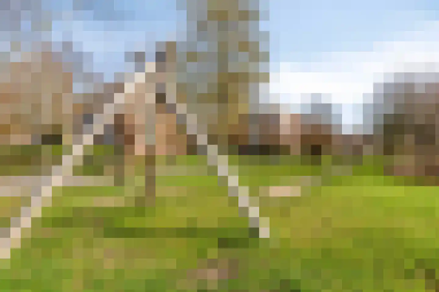 Cellostraat 87 Eindhoven thumbnail 39