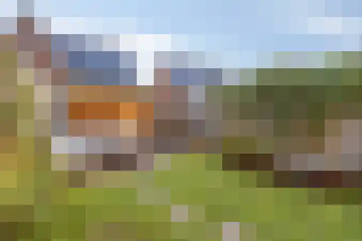 Cellostraat 87 Eindhoven thumbnail 6