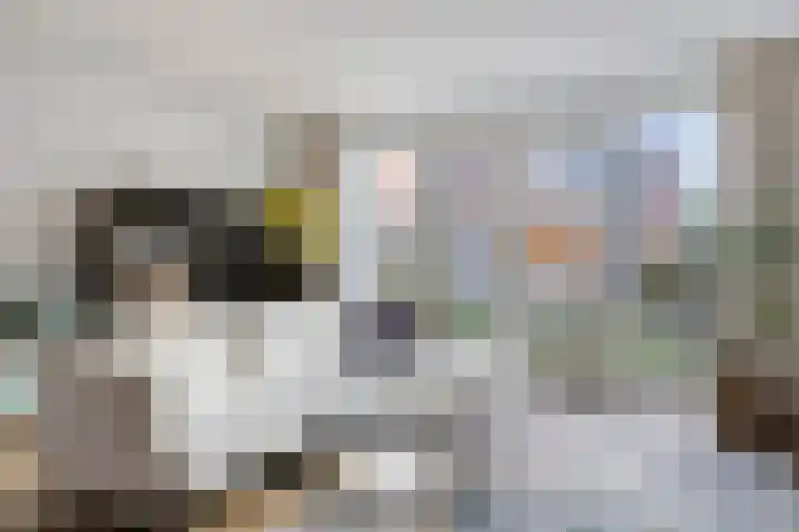 Cellostraat 87 Eindhoven thumbnail 9