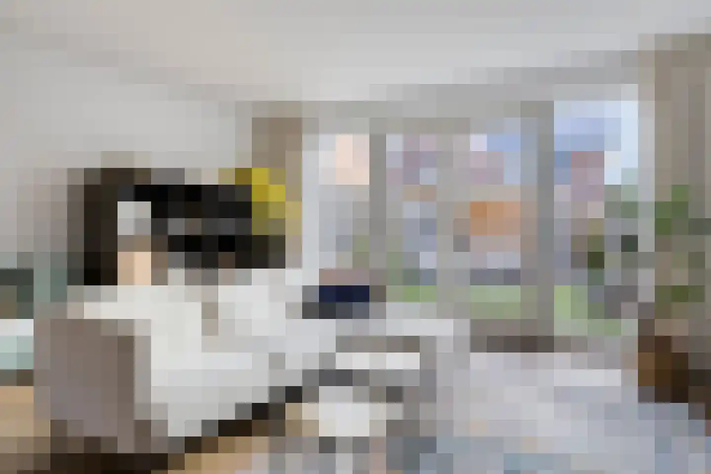 Cellostraat 87 Eindhoven thumbnail 9