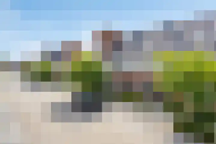 Cellostraat 9 Eindhoven thumbnail 29