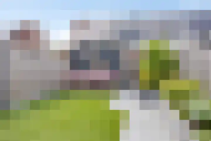 Cellostraat 9 Eindhoven thumbnail 6
