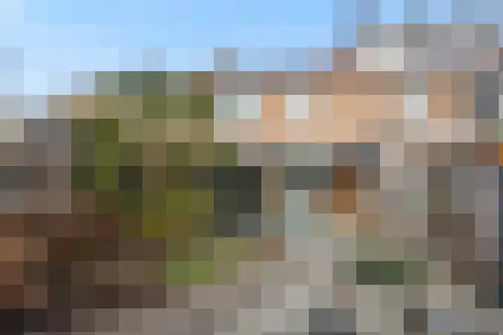 Cellostraat 91 Uden thumbnail 28