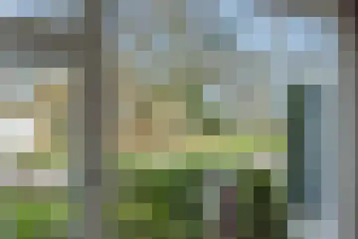 Cellostraat 91 Uden thumbnail 34
