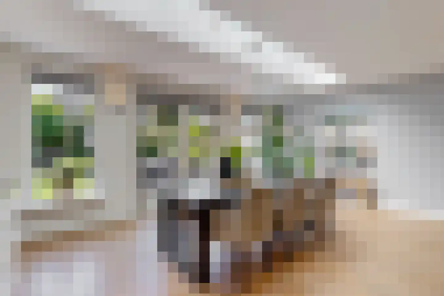 Celsius 6 De Meern thumbnail 8