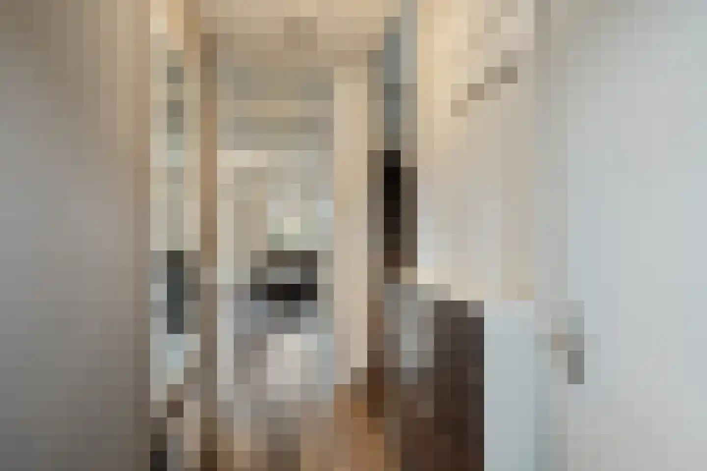 Celsiushage 15 Emmeloord thumbnail 10