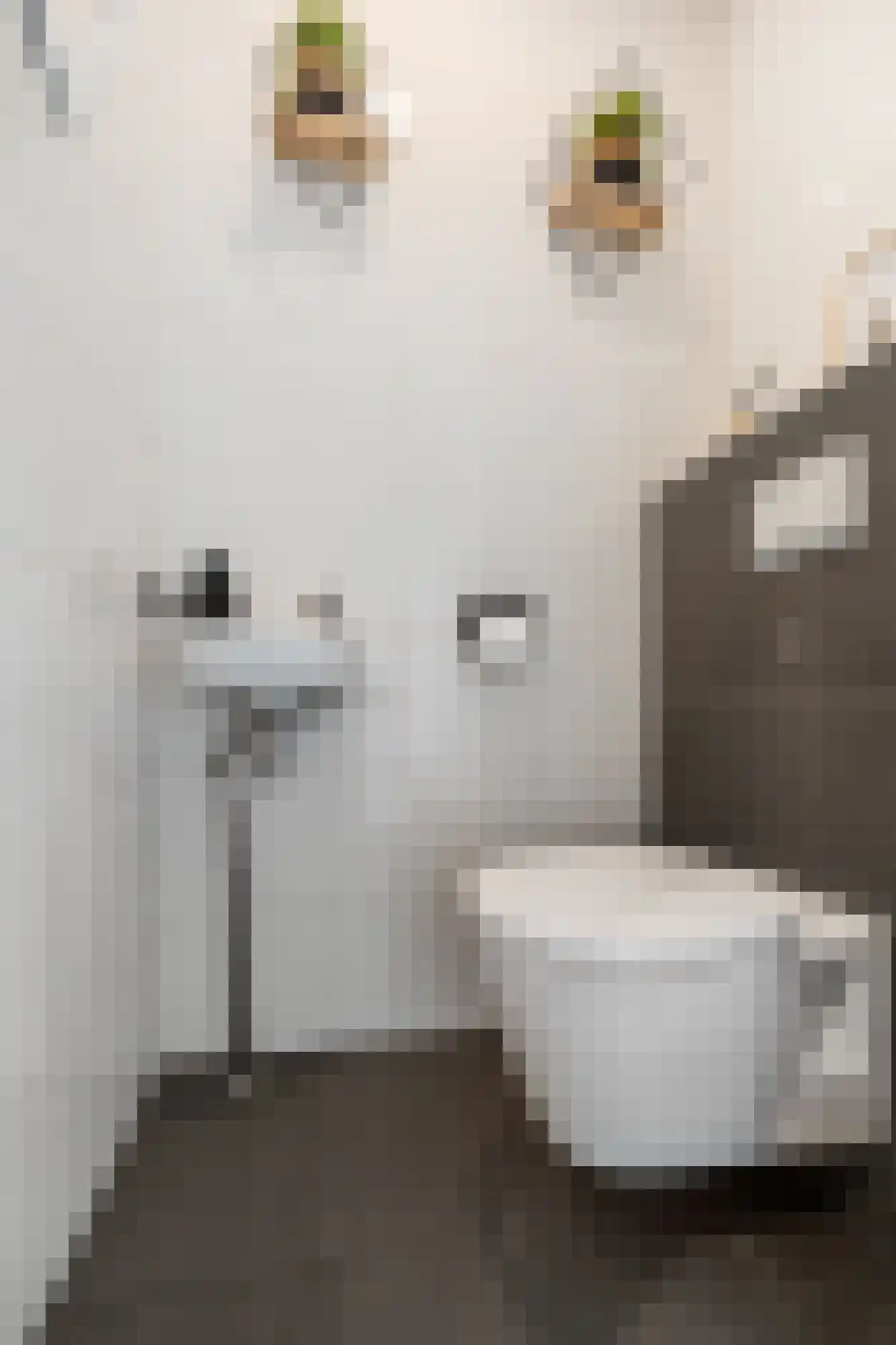 Celsiushage 15 Emmeloord thumbnail 12