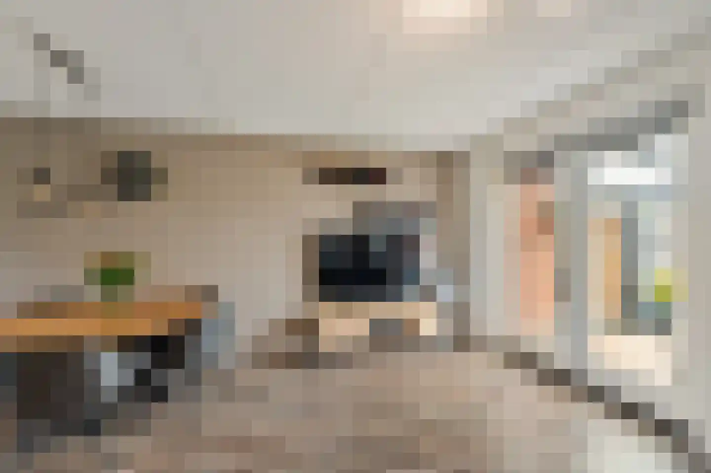 Celsiushage 15 Emmeloord thumbnail 13