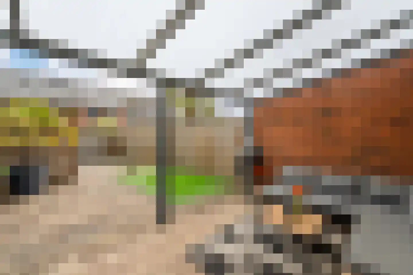 Celsiushage 15 Emmeloord thumbnail 20