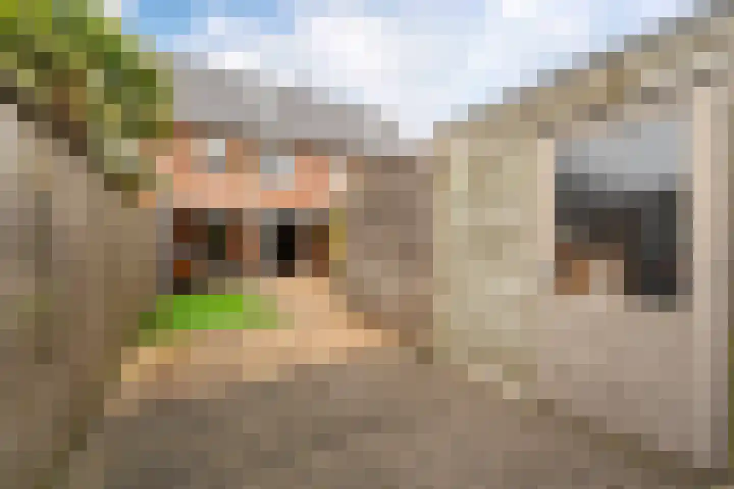 Celsiushage 15 Emmeloord thumbnail 23