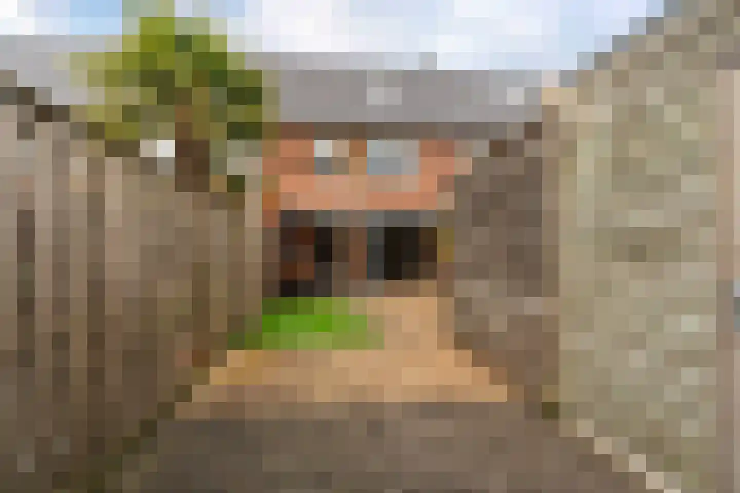 Celsiushage 15 Emmeloord thumbnail 24