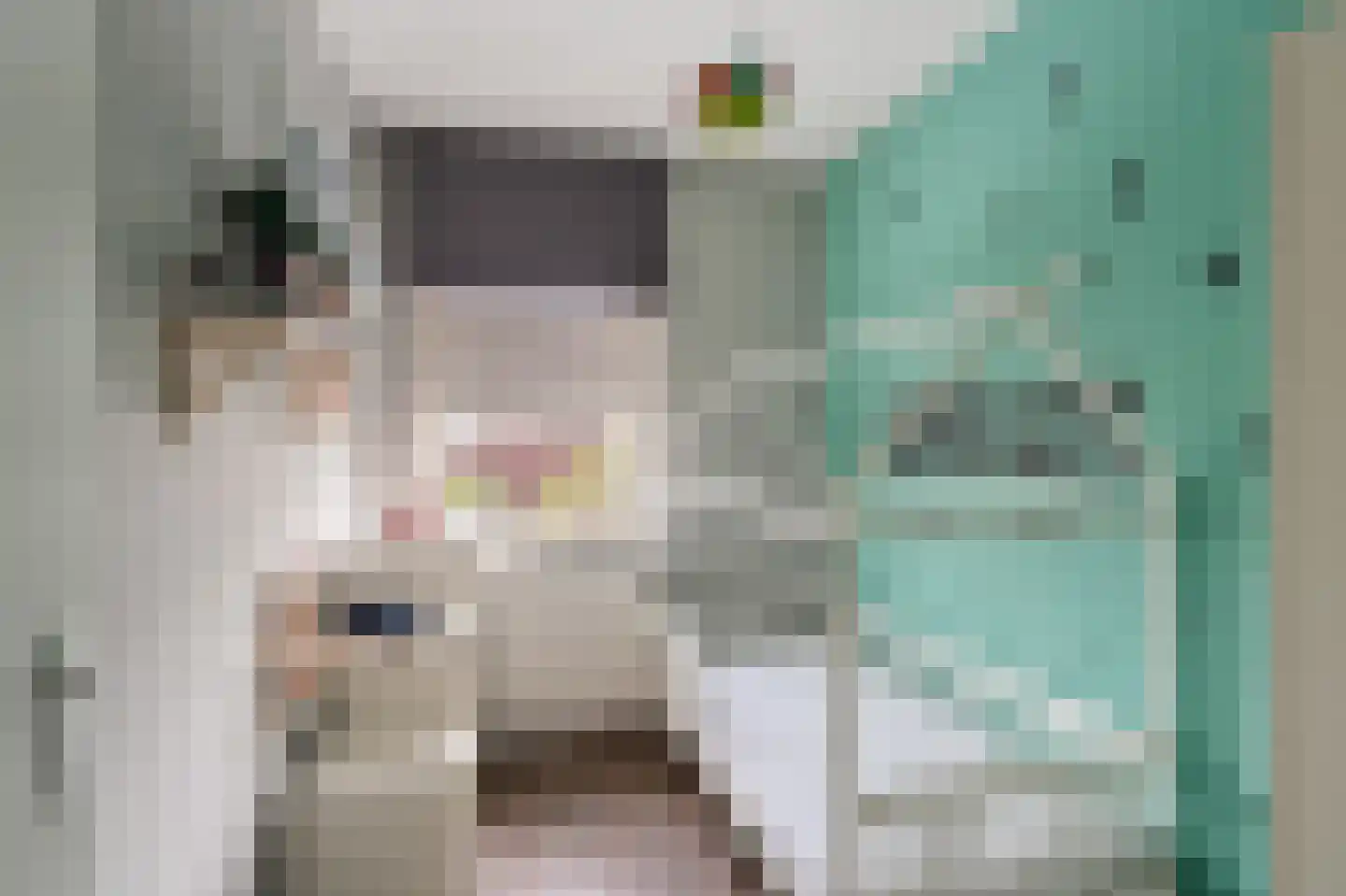 Celsiushage 15 Emmeloord thumbnail 26