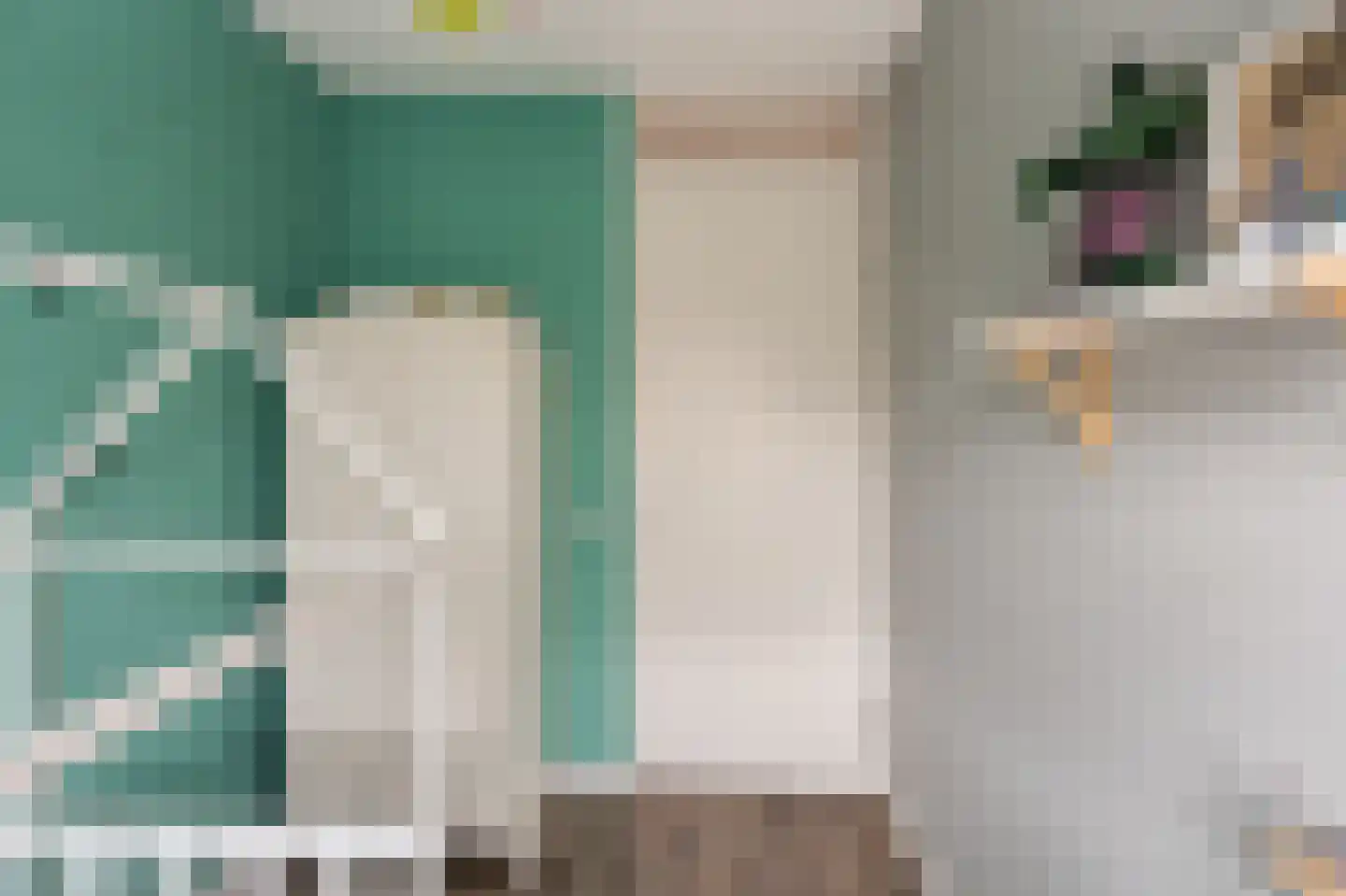 Celsiushage 15 Emmeloord thumbnail 27