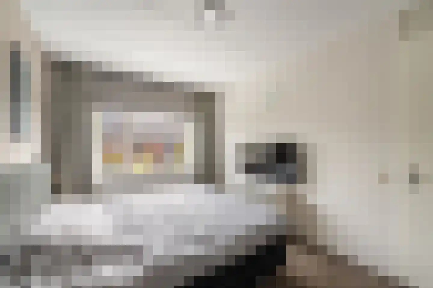 Celsiushage 15 Emmeloord thumbnail 29