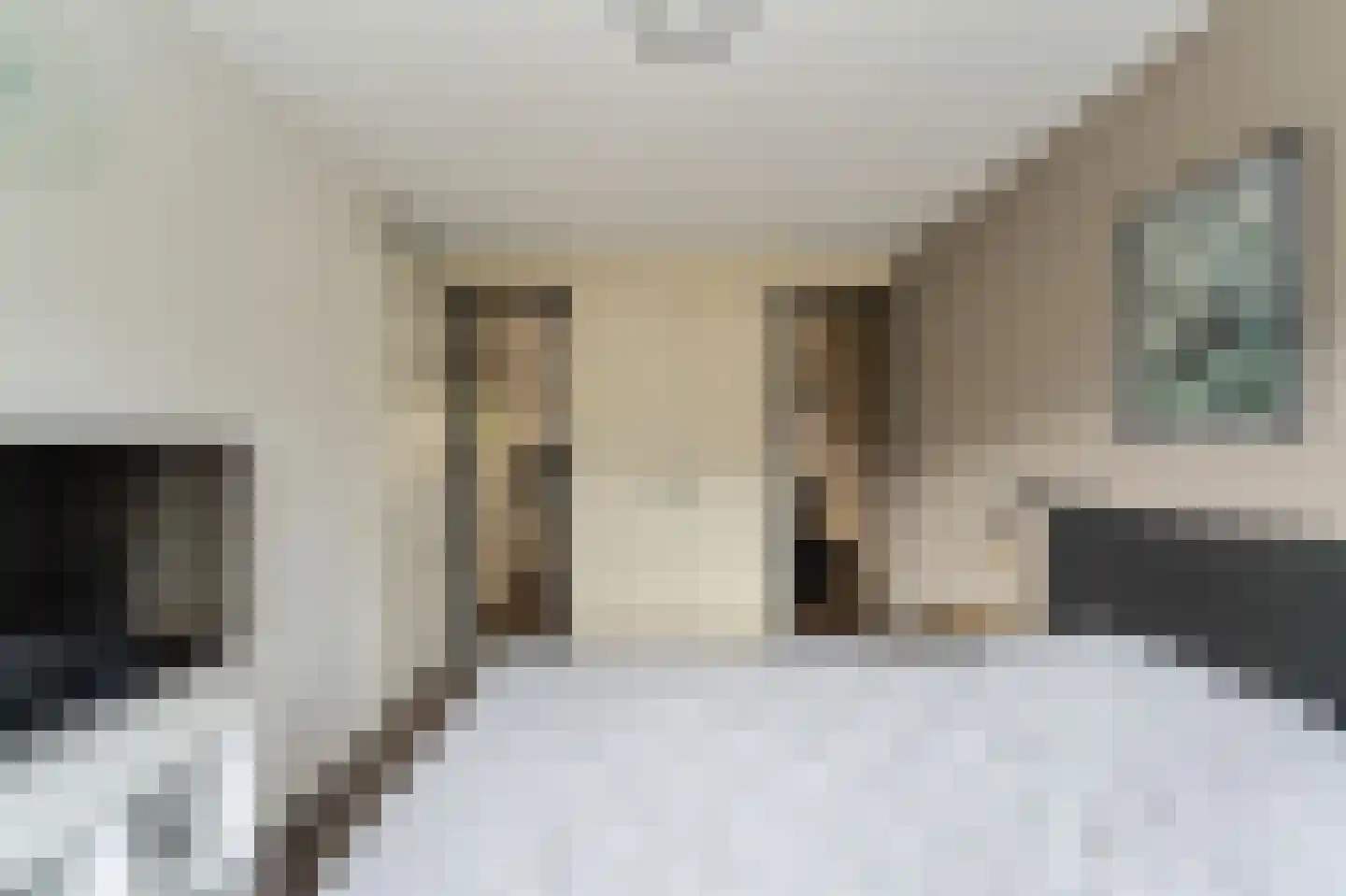 Celsiushage 15 Emmeloord thumbnail 30