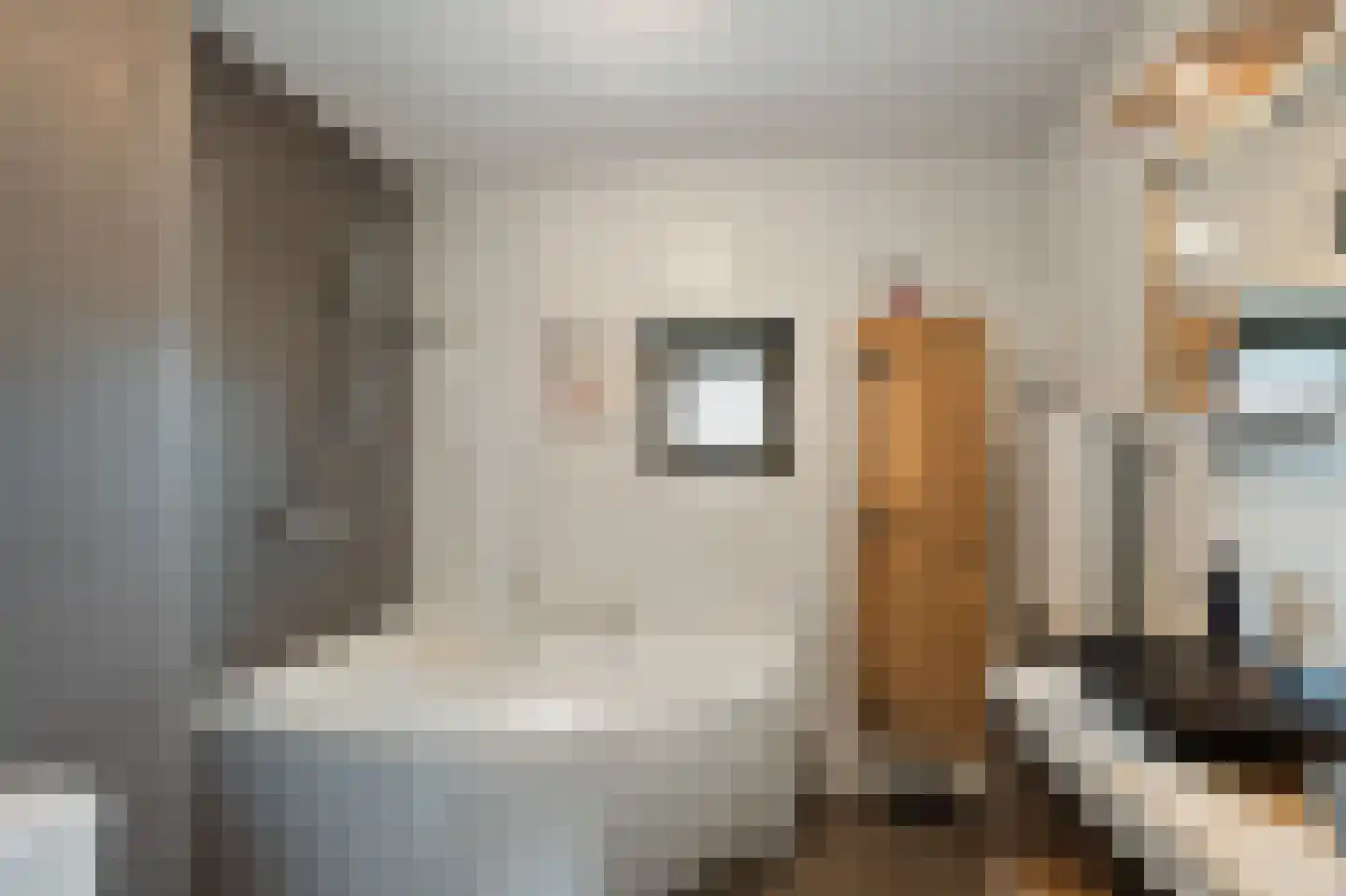 Celsiushage 15 Emmeloord thumbnail 31