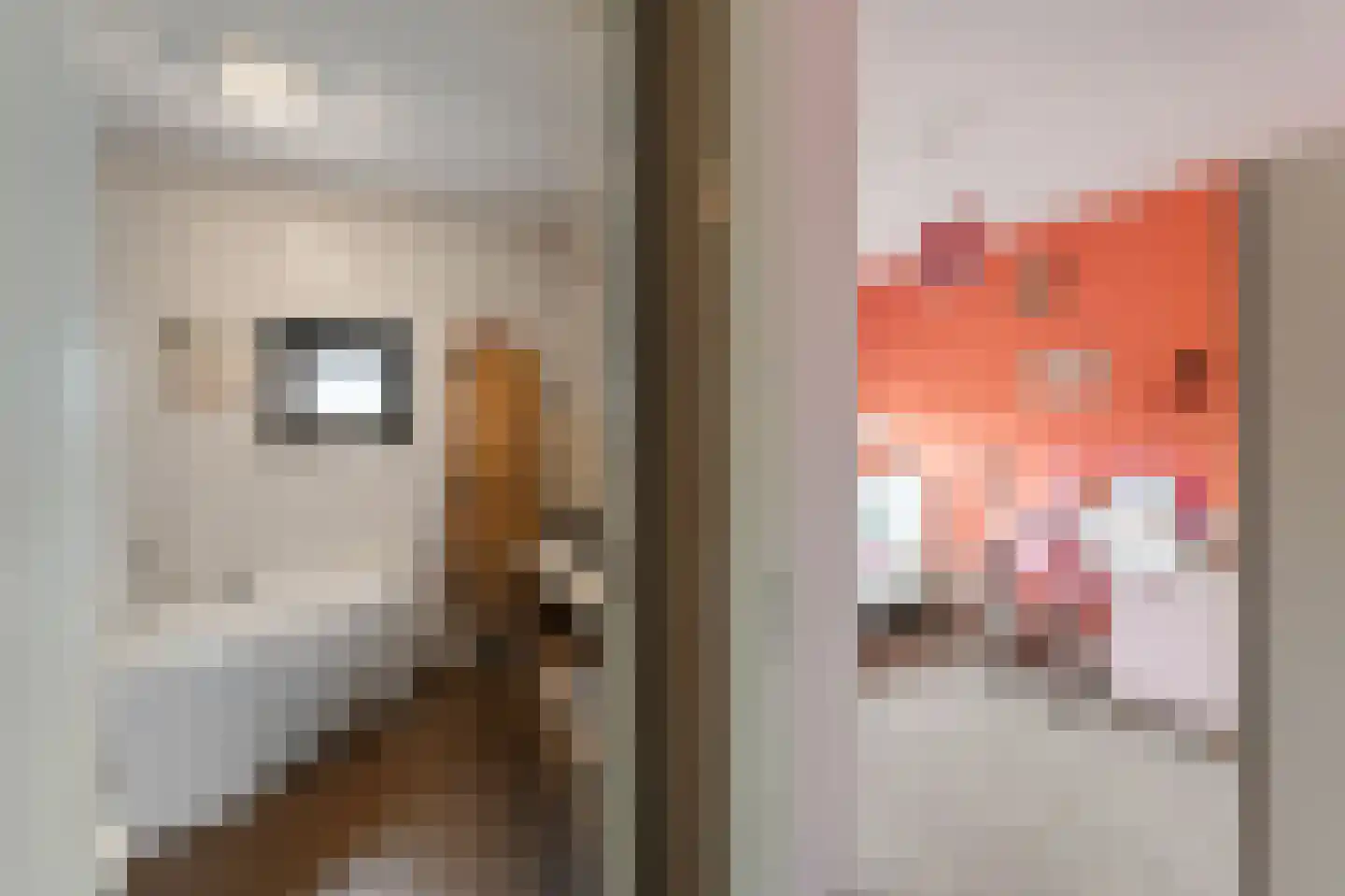 Celsiushage 15 Emmeloord thumbnail 34