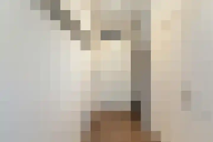 Celsiushage 21 Emmeloord thumbnail 10