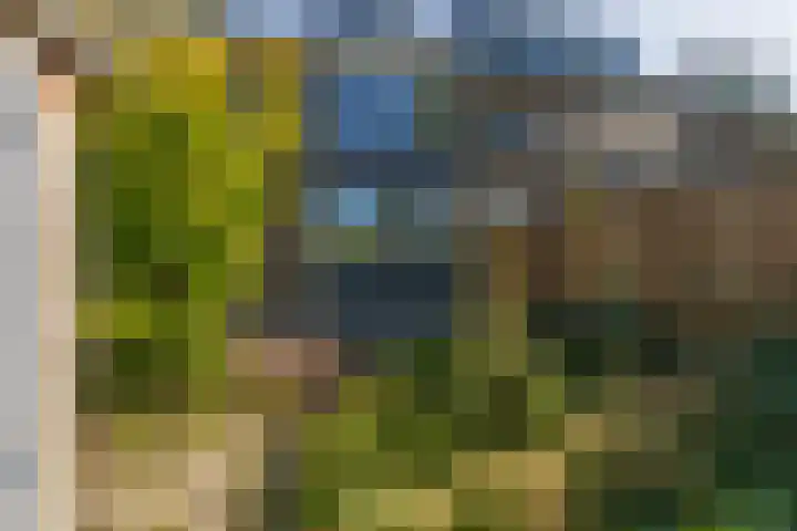 Celsiushage 21 Emmeloord thumbnail 11