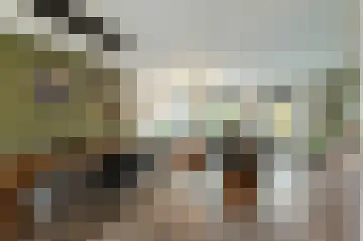 Celsiushage 21 Emmeloord thumbnail 12