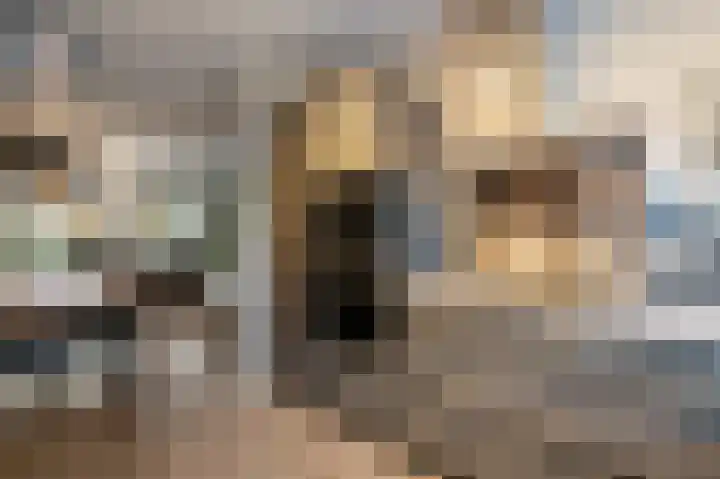 Celsiushage 21 Emmeloord thumbnail 18