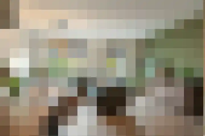 Celsiushage 21 Emmeloord thumbnail 19