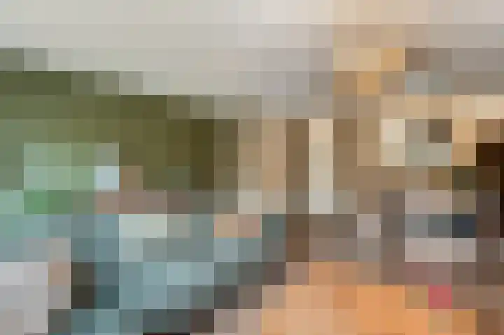 Celsiushage 21 Emmeloord thumbnail 24