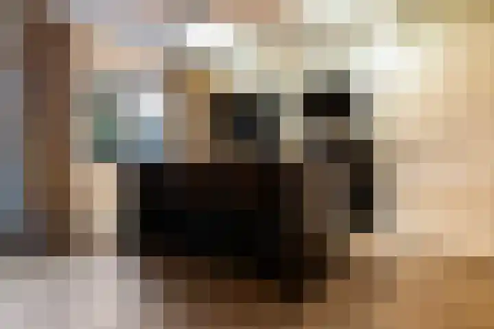 Celsiushage 21 Emmeloord thumbnail 26