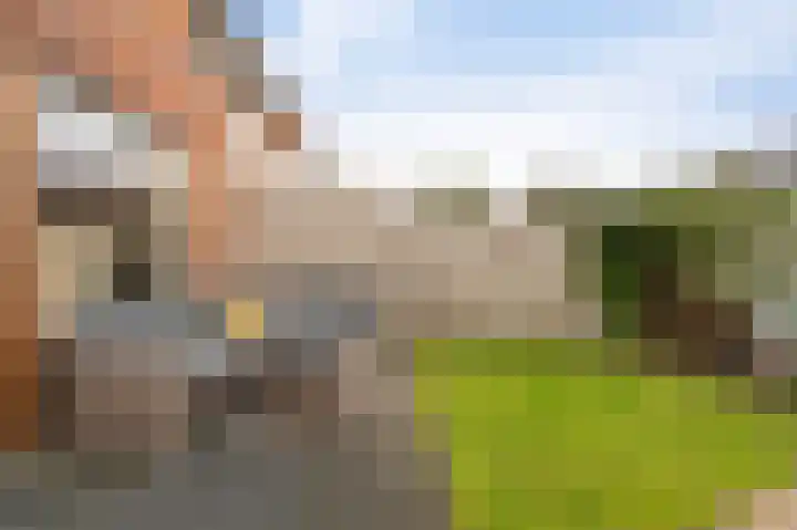 Celsiushage 21 Emmeloord thumbnail 26