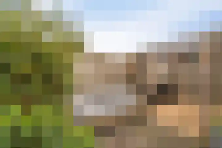 Celsiushage 21 Emmeloord thumbnail 28