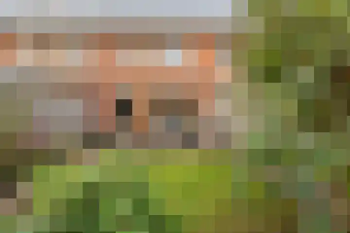 Celsiushage 21 Emmeloord thumbnail 29