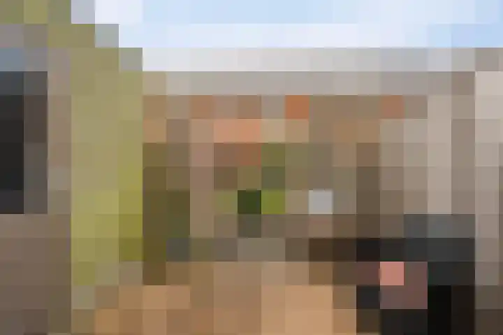Celsiushage 21 Emmeloord thumbnail 31