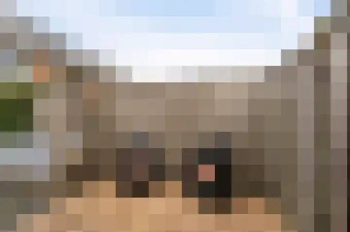 Celsiushage 21 Emmeloord thumbnail 32