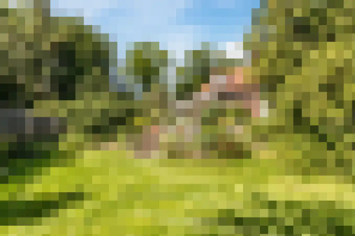 Celsiushage 21 Emmeloord thumbnail 36
