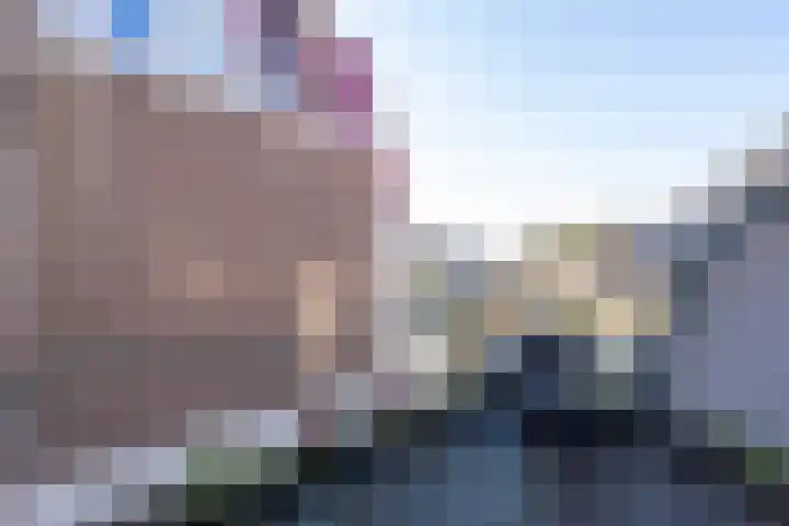 Celsiushage 21 Emmeloord thumbnail 38