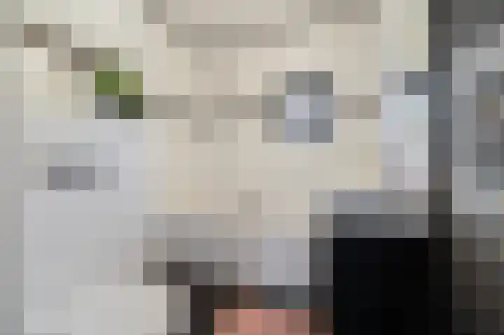 Celsiushage 21 Emmeloord thumbnail 41