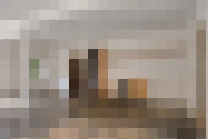 Celsiushage 21 Emmeloord thumbnail 6