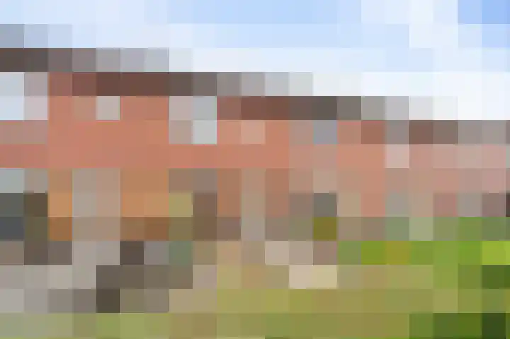 Celsiushage 21 Emmeloord thumbnail 6