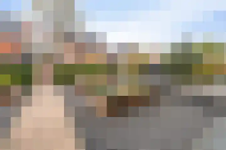 Celsiushage 21 Emmeloord thumbnail 8