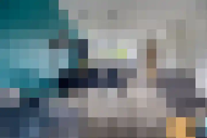 Celsiushage 34 Emmeloord thumbnail 13
