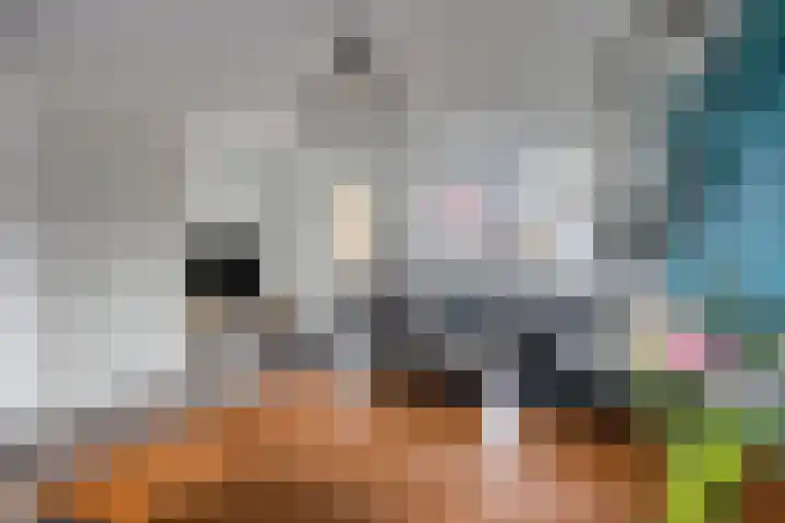 Celsiushage 34 Emmeloord thumbnail 14