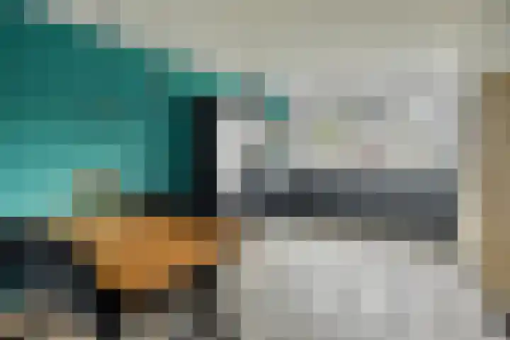 Celsiushage 34 Emmeloord thumbnail 15