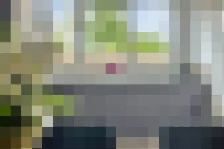 Celsiushage 34 Emmeloord thumbnail 18