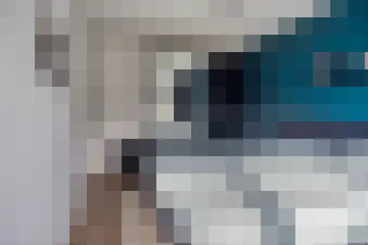 Celsiushage 34 Emmeloord thumbnail 22
