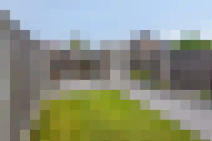 Celsiushage 34 Emmeloord thumbnail 32