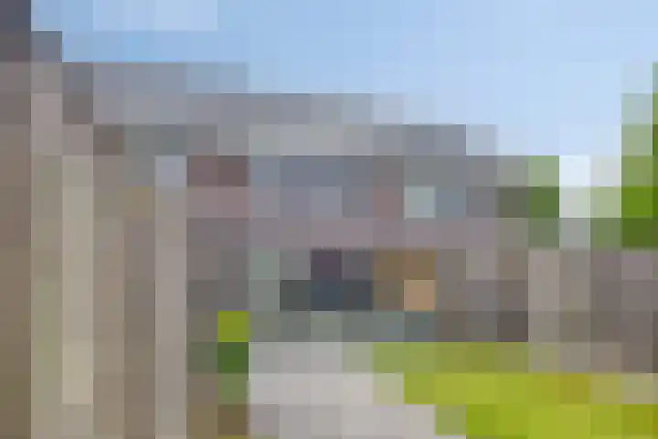Celsiushage 34 Emmeloord thumbnail 33