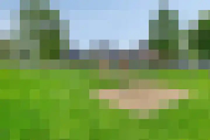 Celsiushage 34 Emmeloord thumbnail 42