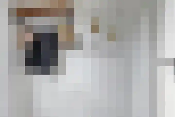 Celsiushage 34 Emmeloord thumbnail 6